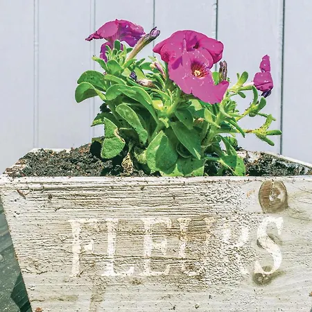 Sdr Klitvej Hvide Sande Denm *